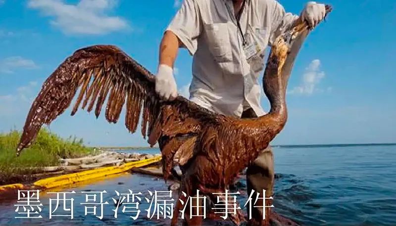被海上溢油“染黑”的海岸线银河集团9873COM环保热解技术助力守护海洋生命线